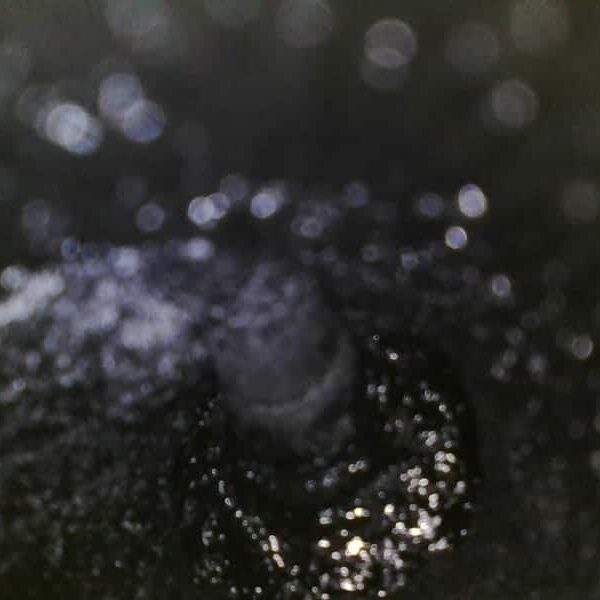 Intake Cleaning walnut shell blasting Mini Cooper S carbon removal