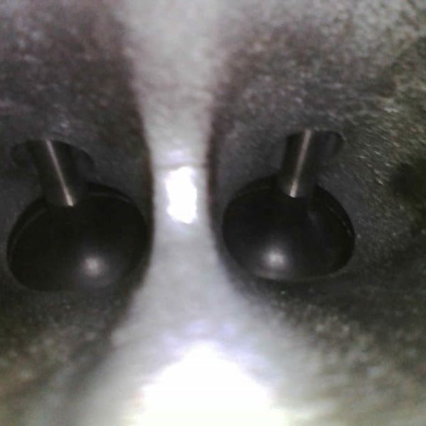 Intake Cleaning walnut shell blasting Mini Cooper S carbon removal