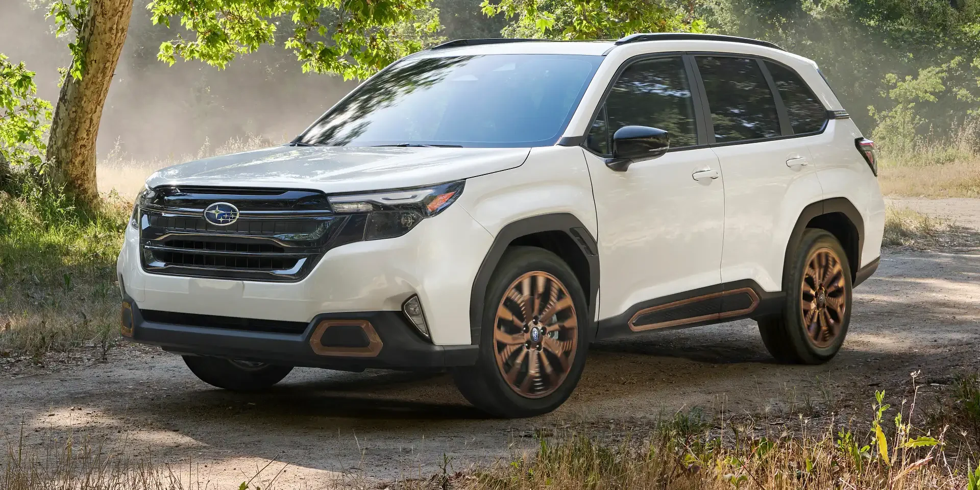 Subaru EGR Valve Cleaning Brisbane