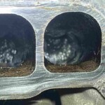 Intake Cleaning walnut shell blasting intake ports 2014 Mazda 2 carbon removal Intake Cleaning walnut shell blasting intake ports 2014 Mazda 2 carbon removal