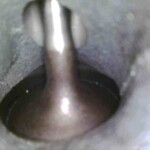 Intake Cleaning carbon removal walnut shell blasting Jeep Grand Cherokee Diesel Intake Cleaning carbon removal walnut shell blasting Jeep Grand Cherokee Diesel